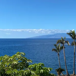 Flores 5 Casa vacanze Playa de las Americas (Tenerife)